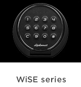 WiSE series