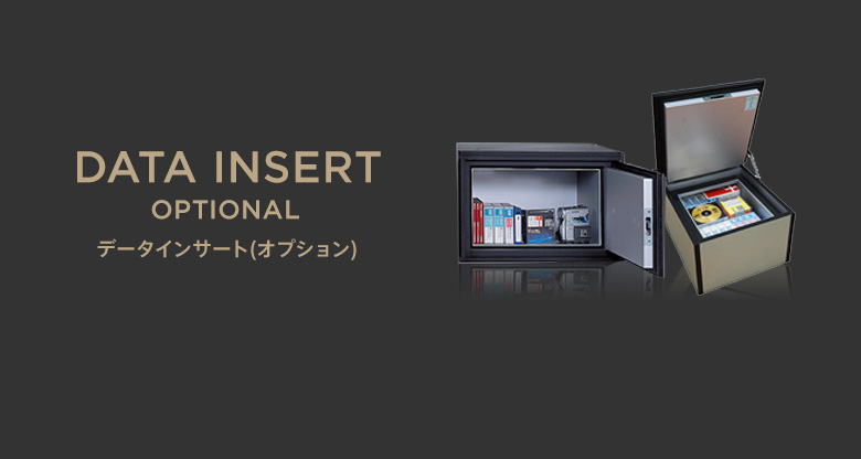 データインサート(オプション)